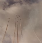 red arrows.JPG