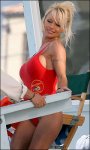 Pamela_Anderson_Sup_342532a[1].jpg