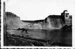 DAMS1Copy.jpg